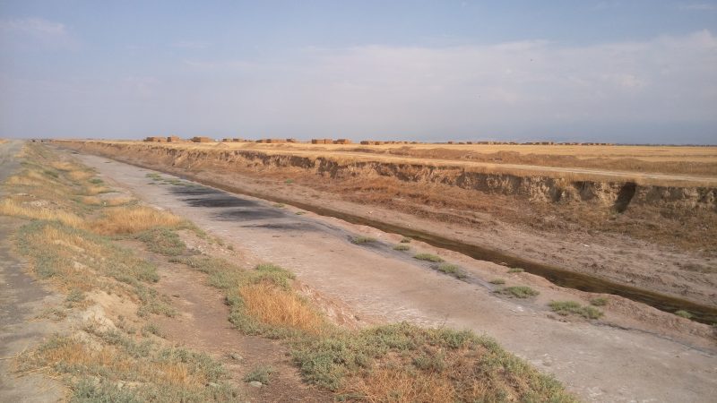 آزمایشات پیزومتر و مکانیک خاک درخصوص پایش خاک در اراضی زهکشی استان گلستان